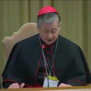 Informe  Card. Cupich