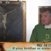 Today's homily | Twenty-Third Sunday in Ordinary Time | 09.06.2020 | Fr. Santiago Martin FM