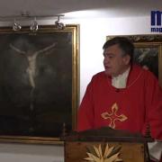 Homily, Saint Andrew Dung Lac And Companions | Fr. Santiago Martin FM | 11.23.2020