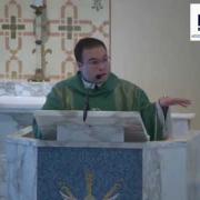 Homilie| Thanksgiving Day 11.26.20| Fr. Antonio Gutierrez FM| www.test.magnificat.tv