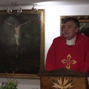 Homily, Saint Andrew | Fr. Santiago Martin FM | 11.30.2020