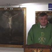 Homily, Saint Margaret of Scotland | Fr. Santiago Martin FM | 11.16.2020