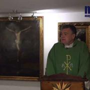 Homily, Saturday of the Thirty First Week in Ordinary Time | Fr. Santiago Martin FM | 11.07.2020