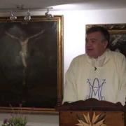 Homily, The Immaculate Conception of the Blessed Virgin Mary | Fr. Santiago Martin FM | 12.08.2020