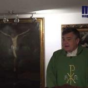 Homily, Friday of the Thirty Third Week in Ordinary Time | Fr. Santiago Martin FM | 11.20.2020